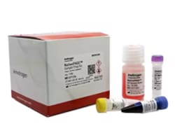 Gel Electrophoresis Reagents and Buffers