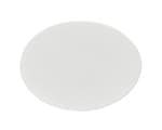 Glass Fiber Filters and Prefilters