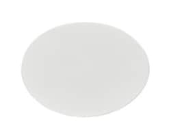 Glass Fiber Filters and Prefilters