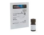 Slide Mounting Media