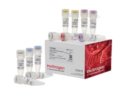 PCR Supplies