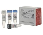 High Fidelity PCR Reagents and Kits
