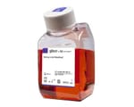 Cell Culture Media