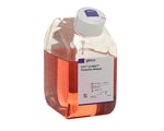 Vector Production Cell Culture Media