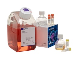 Viral Vaccine Cell Culture Media