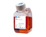 DMEM Cell Culture Media