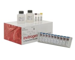 Primary Antibody Matched Pairs