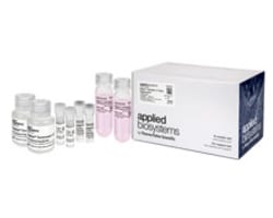 DNA Synthesis Reagents and Columns