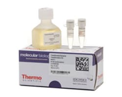 Chemical Transformation Kits