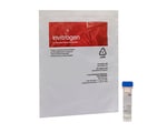 Transfection Reagents