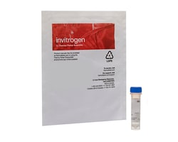 Transfection Reagents
