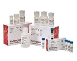 Fluorescent in situ hybridization Reagents
