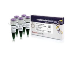 Restriction Enzyme Buffers