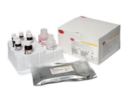 Borrelia Testing
