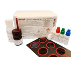 Cryptococcus Testing