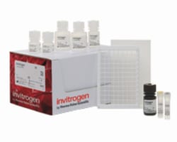 Blood Glucose Analyzers