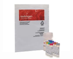 Cholesterol Analyzers