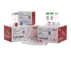 Nucleic Acid Synthesis Supports