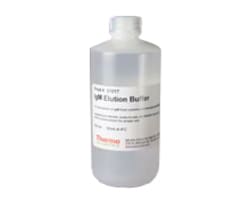 Antibody Production and Purification