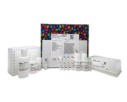 Protein Mass Spectrometry Sample Prep