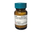 Cell Lysis Detergents