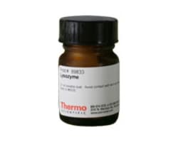Cell Lysis Enzymes