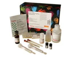 Miscellaneous Immobilization Supports