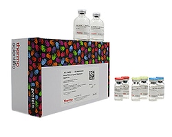 Miscellaneous Immobilized Affinity Ligands