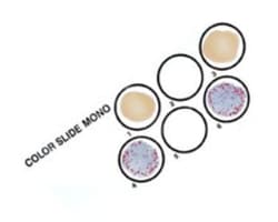 Mononucleosis Testing