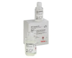 Endocrine Testing