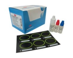 Epstein Barr Virus Testing
