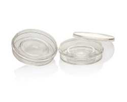 In Vitro Fertilization Dishes