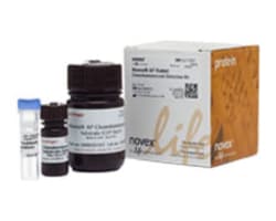 Protein Detection Systems