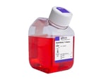 Neuronal Cell Culture Media