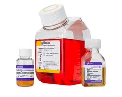 Cell Culture Media, Supplements, and Reagents