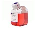 Cell Target Type Cell Culture Media