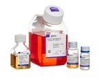 Cancer Cell Culture Media