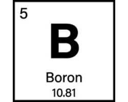 Boron (B)