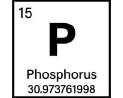 Phosphorous (P)