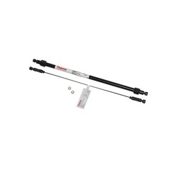 Dionex™ IonPac™ AS11-HC IC 柱