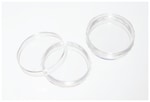 https://www.dev3.thermofisher.com/content/dam/LifeTech/Images/Brands/search/default-brand.jpg