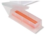 https://www.dev3.thermofisher.com/content/dam/LifeTech/Images/Brands/search/default-brand.jpg