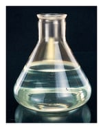 Thermo Scientific BioLite Cell Culture Treated Flasks 12556009