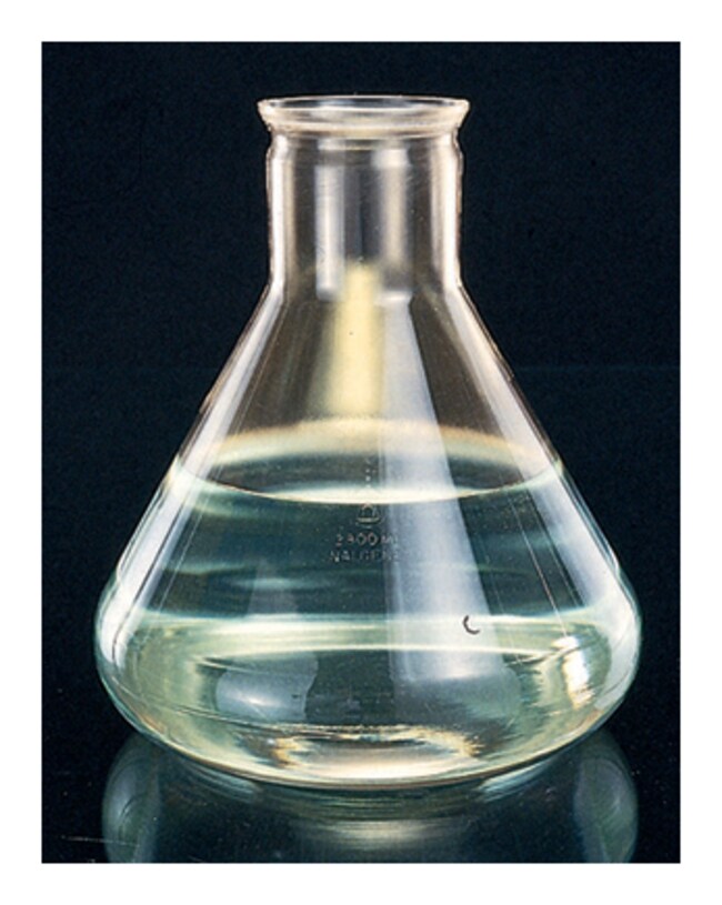 Nalgene™ Polycarbonate Fernbach Culture Flask