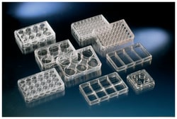 Nunc&trade; Cell-Culture Treated Multidishes