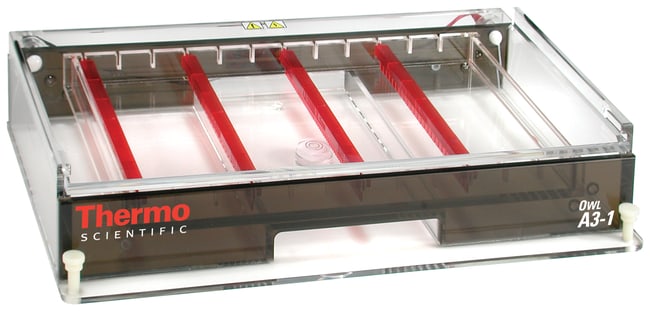 Two 7 x 7 cm Casting Tray with Accessories Walter Products EL-200 Electrophoresis Chamber