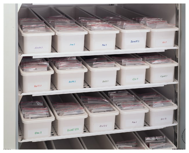 Enzyme Freezer Storage Bins