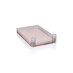 https://www.dev3.thermofisher.com/content/dam/LifeTech/Images/Brands/search/default-brand.jpg