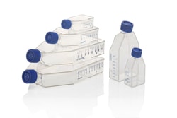 Nunc&trade; EasYFlask&trade; Cell Culture Flasks