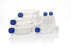 Nunc&trade; EasYFlask&trade; Cell Culture Flasks